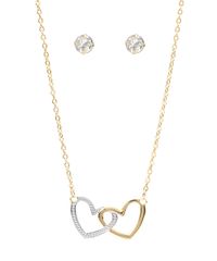 9996565-Dourado_2