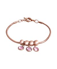 9996167-Rose_2