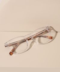 9994388-Transparente_3