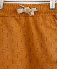 9987365-Caramelo_3