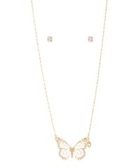 9996113-Dourado_2