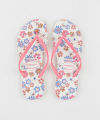 9955818-Rosa_1