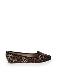 Sapatilha-Beira-Rio-Animal-Print-Estampado-8011574-Marrom_Claro_2