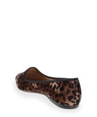 Sapatilha-Beira-Rio-Animal-Print-Estampado-8011574-Marrom_Claro_3