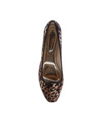 Sapatilha-Beira-Rio-Animal-Print-Estampado-8011574-Marrom_Claro_4