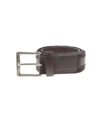 Cinto-de-Lona-Marrom-8064640-Marrom_Escuro_2