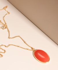 9991947-Dourado_2