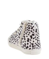 Tenis-Animal-Print-Bege-Claro-8066147-Bege_Claro_3