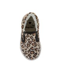 Tenis-Iate-Animal-Print-Infantil-Menina-Bege-8101286-Bege_4