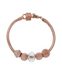 9998933-Rose_2