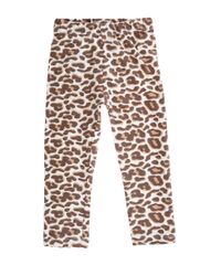 LEGGING-ONCA-Multicor-8074655-Multicor_1