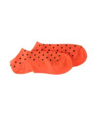 Kit-de-Meias--Multicor-7876309-Multicor_4