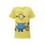 FANTASIA-MC-MINIONS-8050188-8050188_1