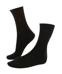 MEIA-CASUAL-CANO-LONGO-LUPO-8118615-8118615_1