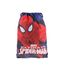 SACOLA-SPIDERMAN-7908683-7908683_1