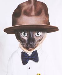 Camiseta-Pets-Rock-com-Estampa-Gato-Branca-8117487-Branco_4