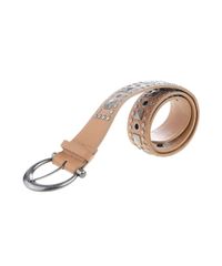 Cinto-com-Tachas-Marrom-Claro-8075204-Marrom_Claro_2