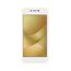 Smartphone-Asus-ZC520KL-Zenfone-Max-M1-32GB-Dourado-9322159-Dourado_1