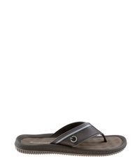 Chinelo-Cartago-Chumbo-8128998-Chumbo_2