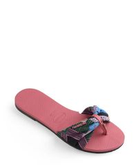 9977350-Rosa_2