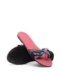 9977350-Rosa_4