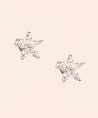 Brinco-de-Flor-com-Strass-Folheado-Prateado-1006730-Prateado_2