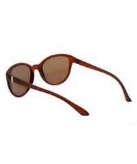 Oculos-Gatinho-Feminino-Oneself-Marrom--Marrom-8168314-Marrom_4