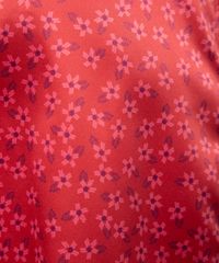 1007351-Rosa_5