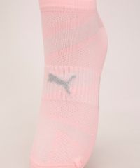 9992773-Rosa_3