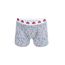 Cueca-Boxer-com-Estampa-Angry-Birds-Cinza-8076312-Cinza_1
