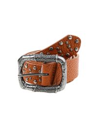 Cinto-com-Tachas-Marrom-8091879-Marrom_1