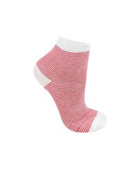 Kit-de-Meias-Multicor-7879796-Multicor_2