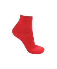 Kit-de-Meias-Multicor-7879796-Multicor_3