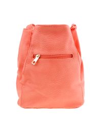 Bolsa-Saco-Salmao-8045433-Salmao_2