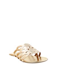 Rasteira-com-Recortes-Vazados-Dourada-8121081-Dourado_1