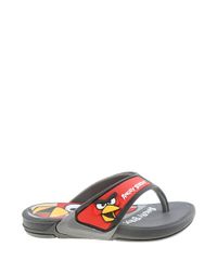 Kit-de-Chinelo-Grendene-Angry-Birds---Raquete-Menino-Preta-7906810-Preto_2 Kit-de-Chinelo-Grendene-Angry-Birds---Raquete-Menino-Preta-7906810-Preto_2