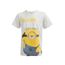 Camiseta-com-Estampa-Minions-Menino-Cinza-Mescla-8151878-Cinza_Mescla_1