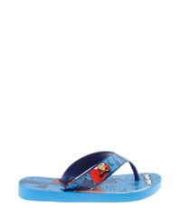 Chinelo-Ipanema-Angry-Birds-Menino-Azul-8168252-Azul_2 Chinelo-Ipanema-Angry-Birds-Menino-Azul-8168252-Azul_2