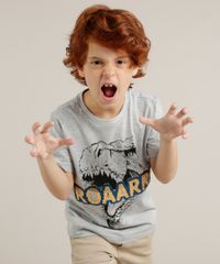 Camiseta-Infantil-Dinossauro--Roaarr---com-Paete-Dupla-Face-Manga-Curta-Gola-Careca-Cinza-Mescla-9233928-Cinza_Mescla_1