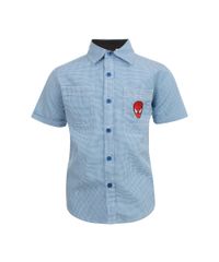 Camisa-Quadriculada-com-Bordado-Homem-Aranha--Azul-Claro-7980663-Azul_Claro_1