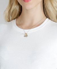 Colar-Escapulario-Feminino-Nossa-Senhora-Aparecida-Dourado-9219539-Dourado_2
