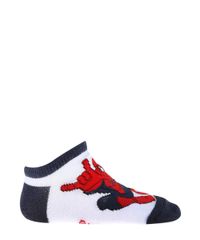 Kit-de-Meias-Homem-Aranha-Vermelho-8038960-Vermelho_2