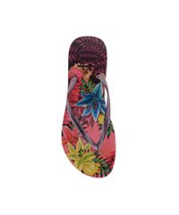 Chinelo-Havaianas-Floral-Roxo-8136831-Roxo_4