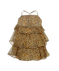 Vestido-Animal-Print-Marrom-7983723-Marrom_2
