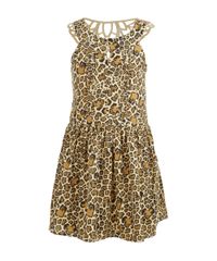 Vestido-Animal-Print-com-Laser-Cut-Marrom-7979854-Marrom_1