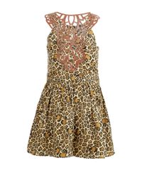 Vestido-Animal-Print-com-Laser-Cut-Marrom-7979854-Marrom_2