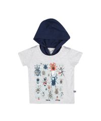 Camiseta-com-Capuz-Insetos-Cinza-8155013-Cinza_1 Camiseta-com-Capuz-Insetos-Cinza-8155013-Cinza_1