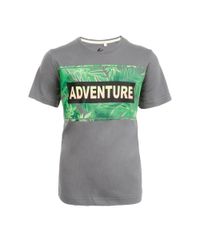 Camiseta-com-Estampa-Adventure-Cinza-8154587-Cinza_1