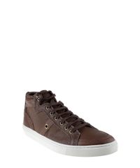 Tenis-com-Recortes-Marrom-8160597-Marrom_1 Tenis-com-Recortes-Marrom-8160597-Marrom_1