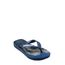 Chinelo-Havaianas-Jurassic-Park-Azul-8138426-Azul_1